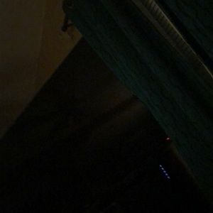 Meet your Posher, Rosie